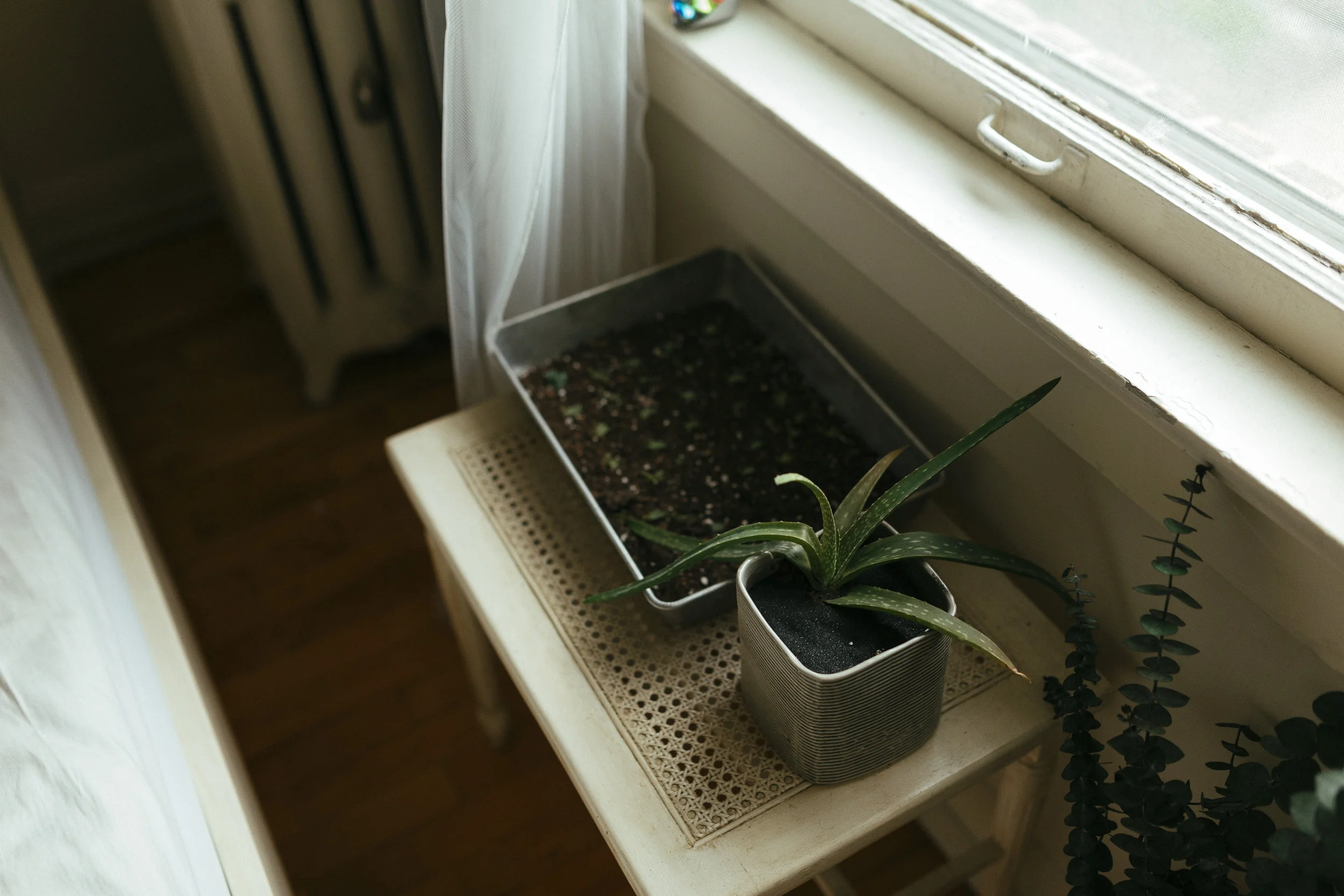 lkusterman_intimate_home_session.jpg