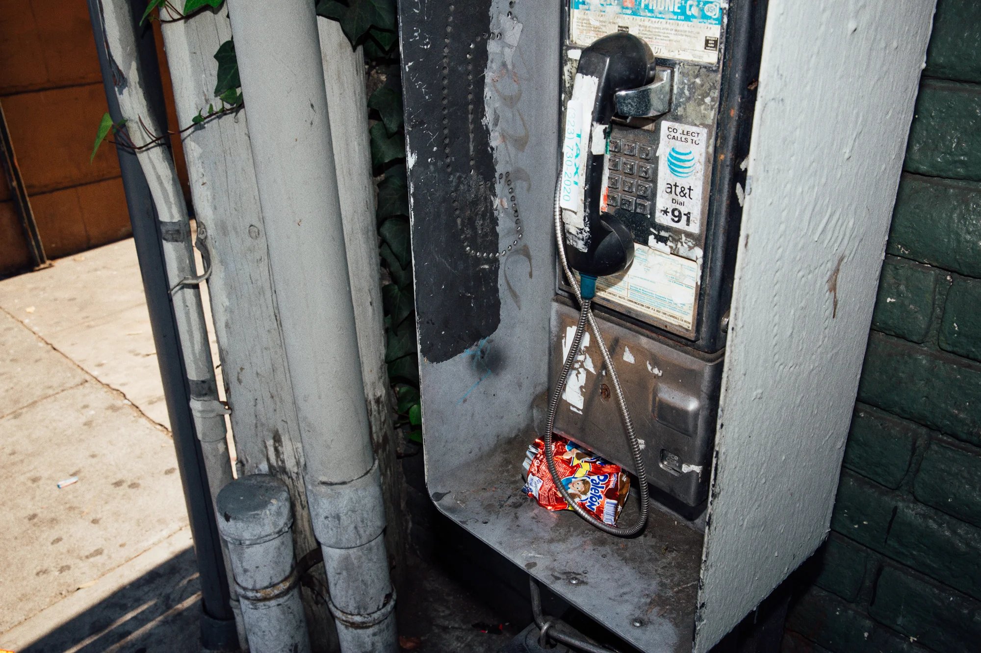 trash_087A0780.jpg