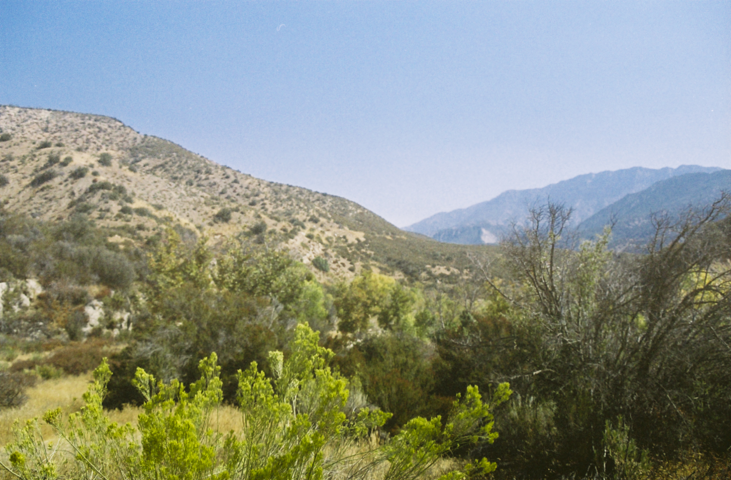 film_ojai_ca_082100-R1-1A.jpg