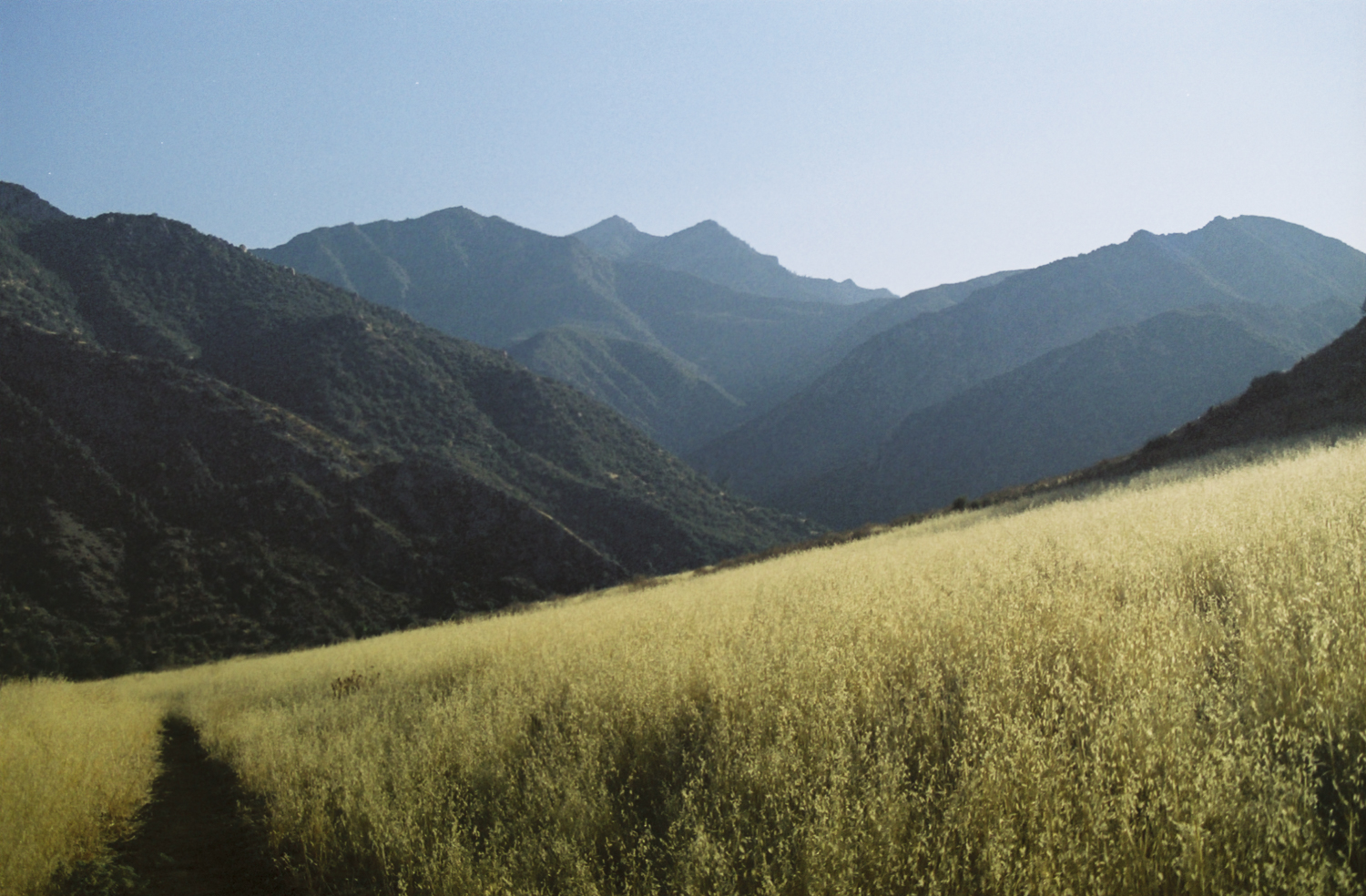 film_ojai_ca_082100-R1-7A.jpg