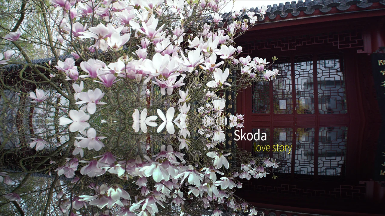 Skoda_Lovestoy_Garten_1zu1_720.jpg