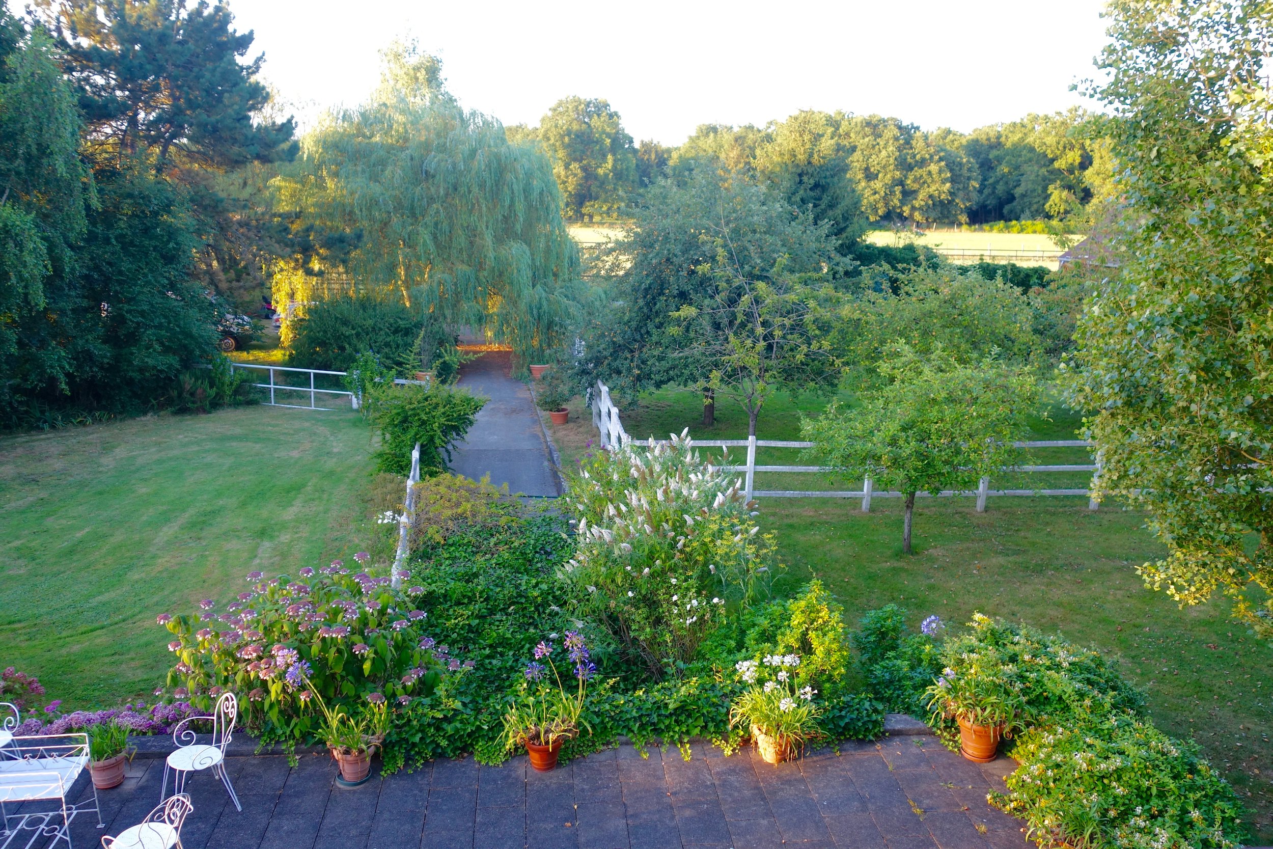 DSC02386.jpg