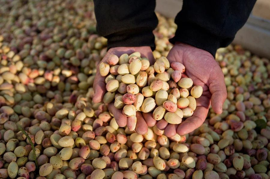 pistachios_custom-5de591164304c76130b49df03a852448dabd2f5f-s900-c85.jpg