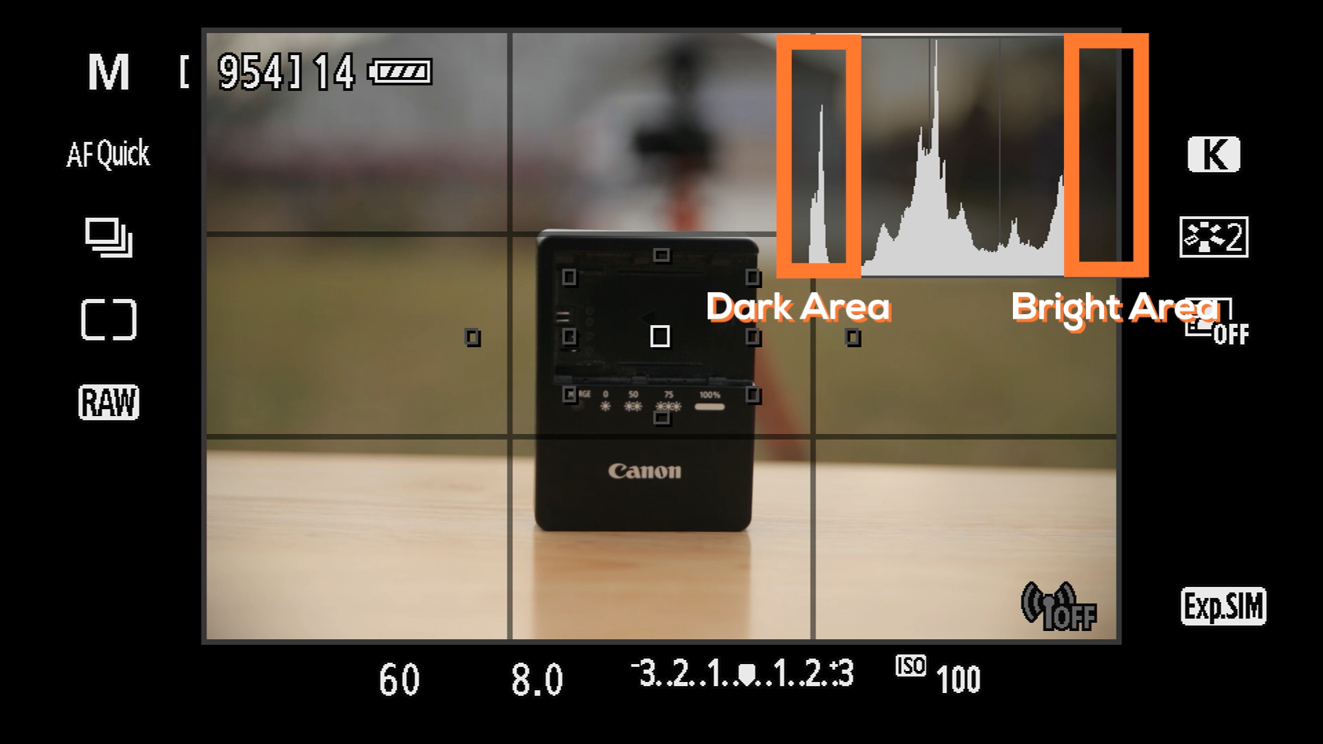 Histogram.MeteringModes.ShootingModes.mp4.00_00_52_09.Still001.png
