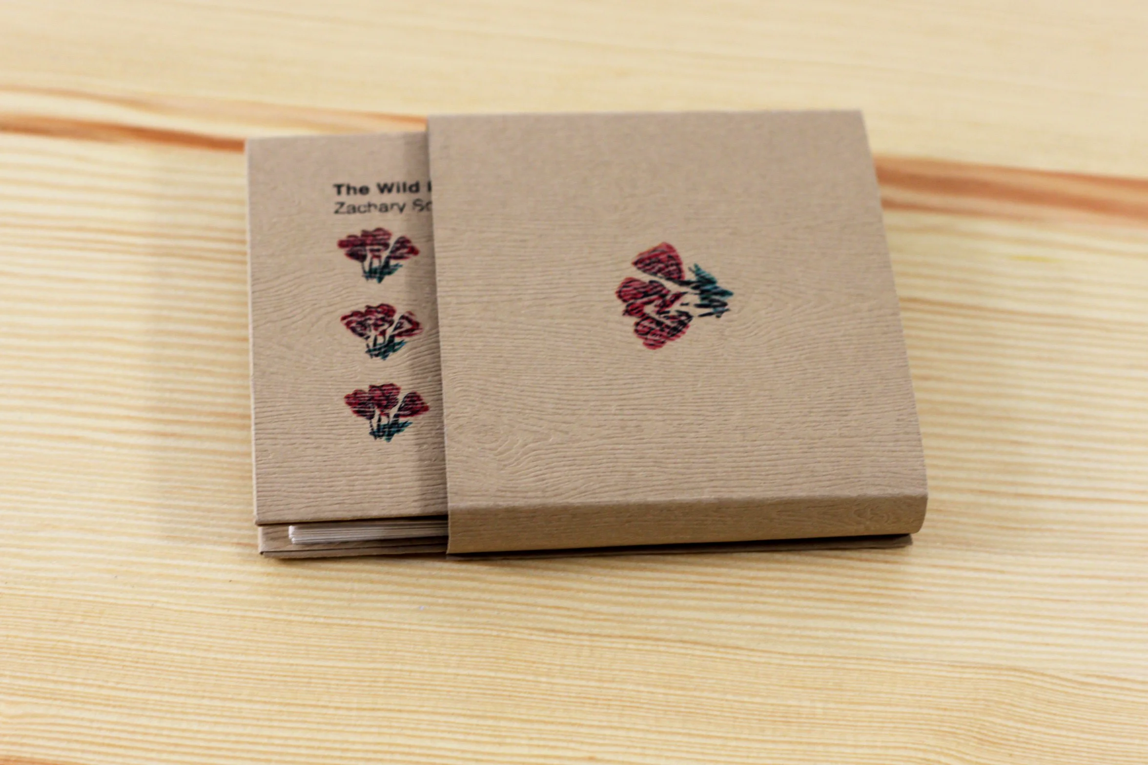 Last Import - 11 of 67.jpg