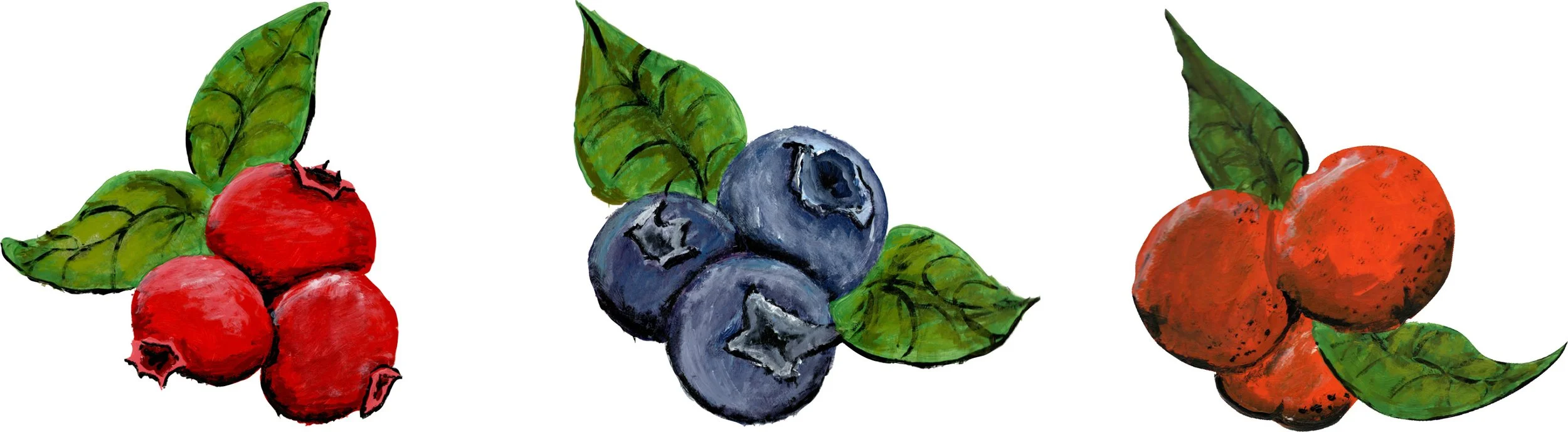Aubergine_book-2.jpg