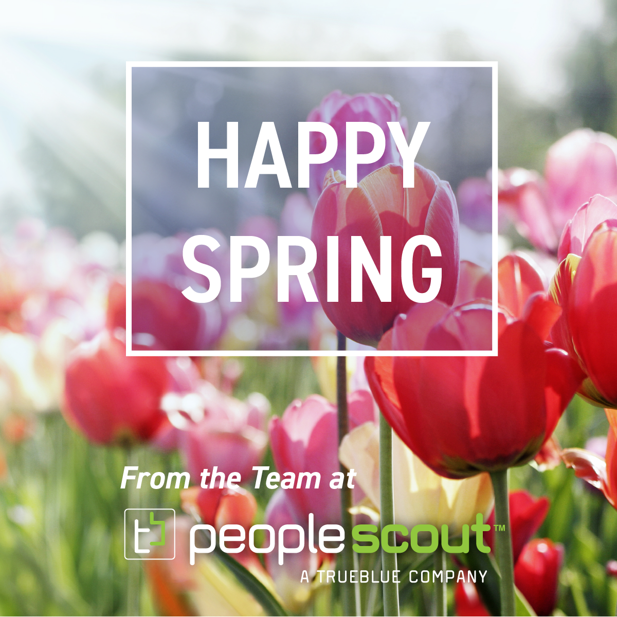 Spring_socialmedia_Facebook.png