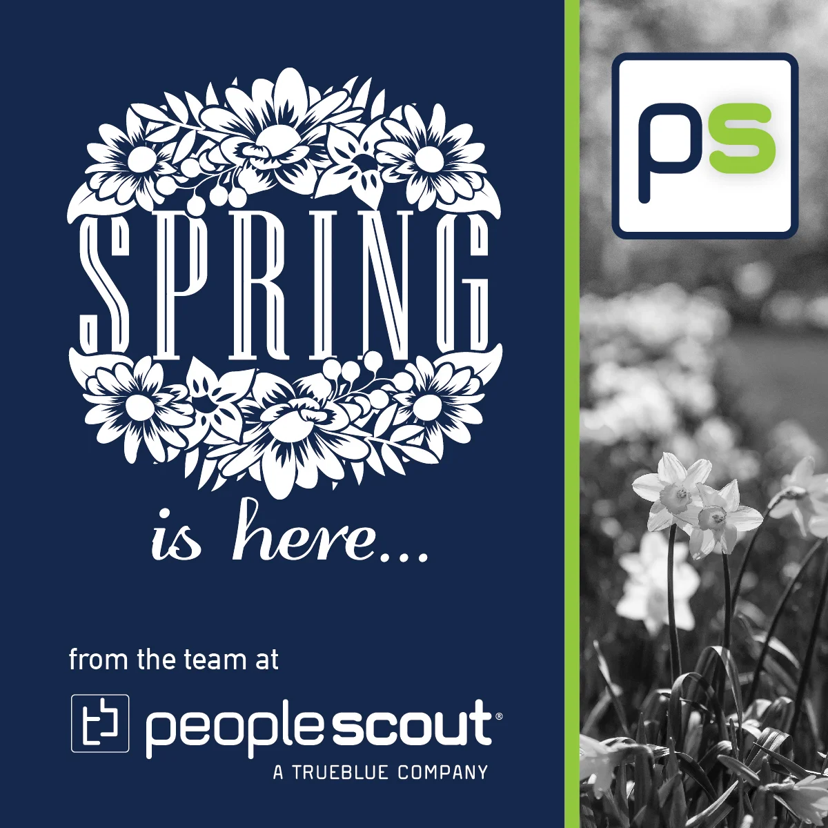 SpringEaster_socialmedia-02 copy.jpg