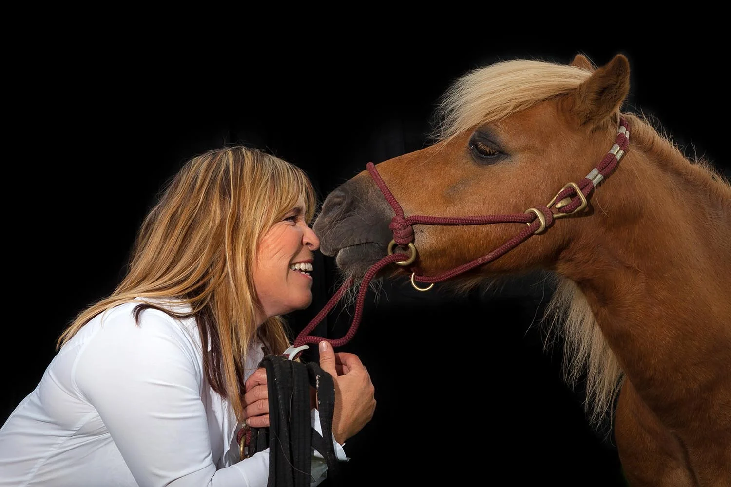 Equine Photographer Bristol
