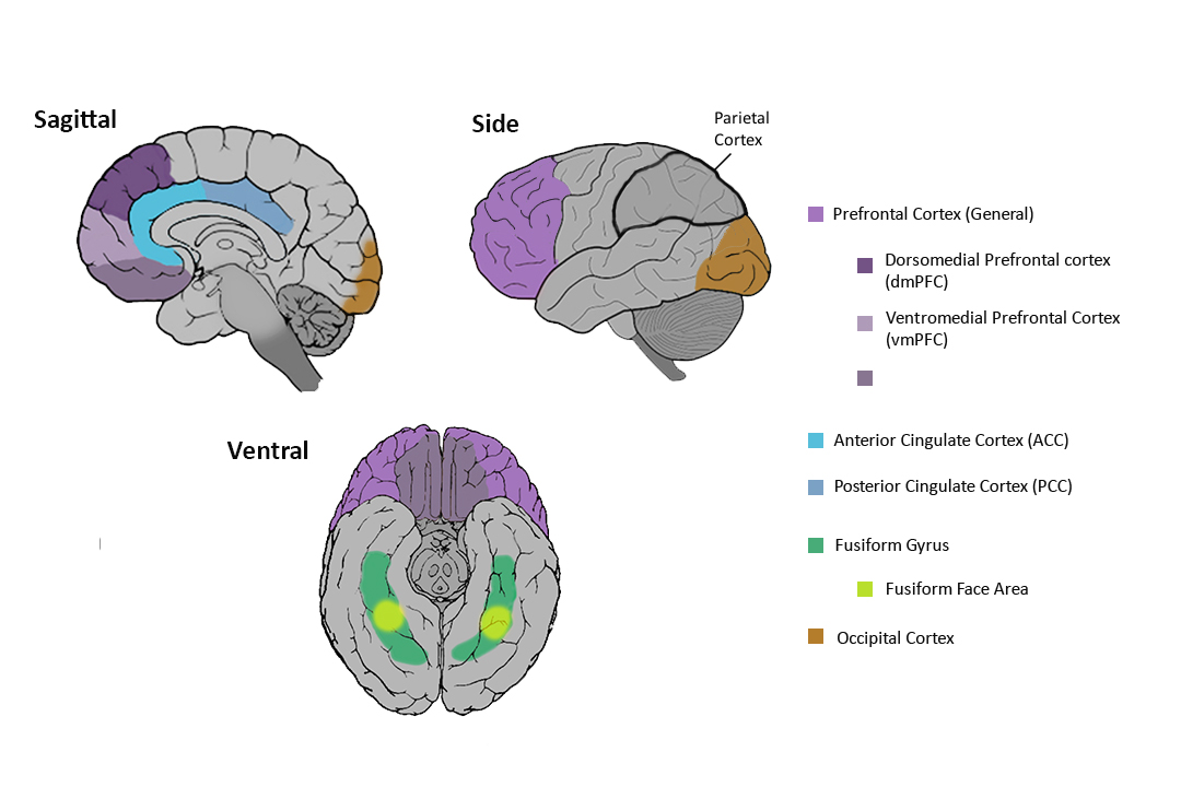 Mental Perception.jpg