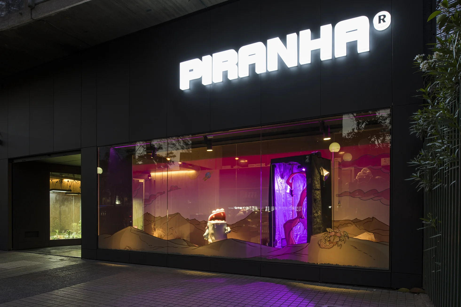 Piranha-12.jpg