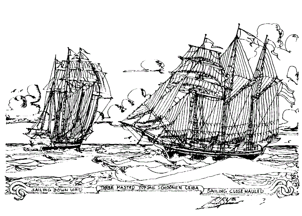 Esta es una ilustración original hecha con tinta por el capitán Jorne Langelaan, inspirada en nuestro barco -Ceiba. Mostrando dos puntos de vela distintos