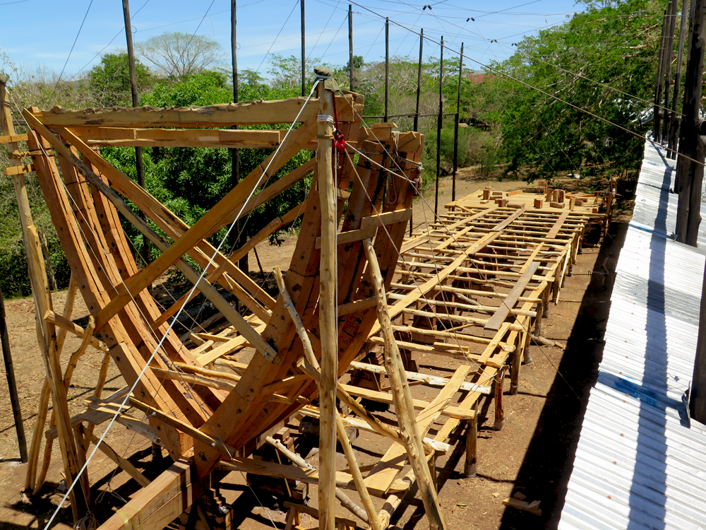 3 frames in place under the tropical sun.