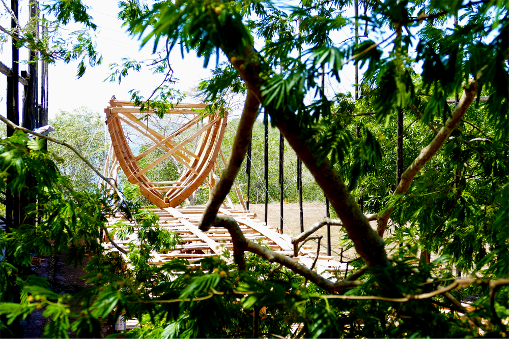 Frame under Guanacaste (small format).png