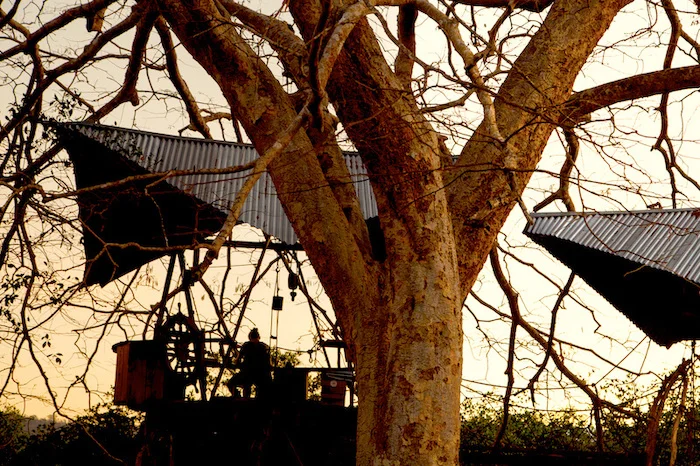 Shipyard treehouse during sunset, Picture by Jeremy Starn
