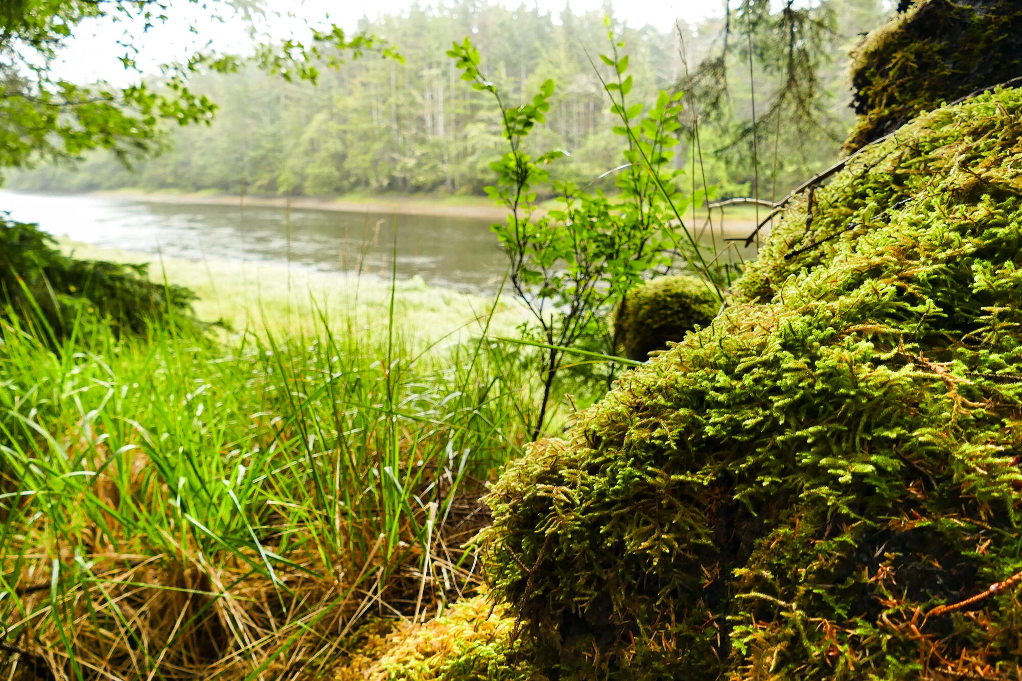 Haida Gwauii_Trip_22.jpg