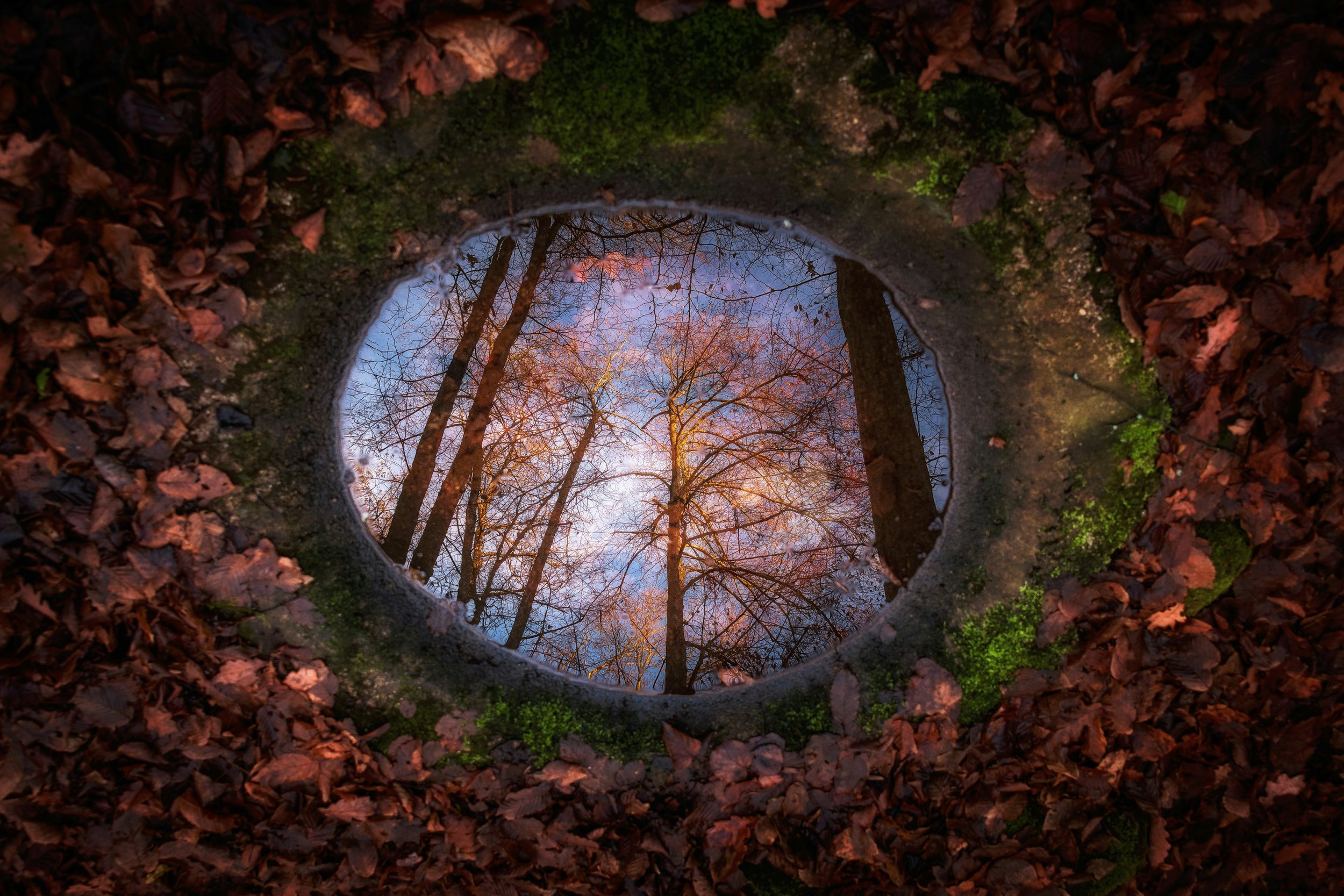 Shifting Perspective: Treating Yield as a Mirror, Not Just a Metric