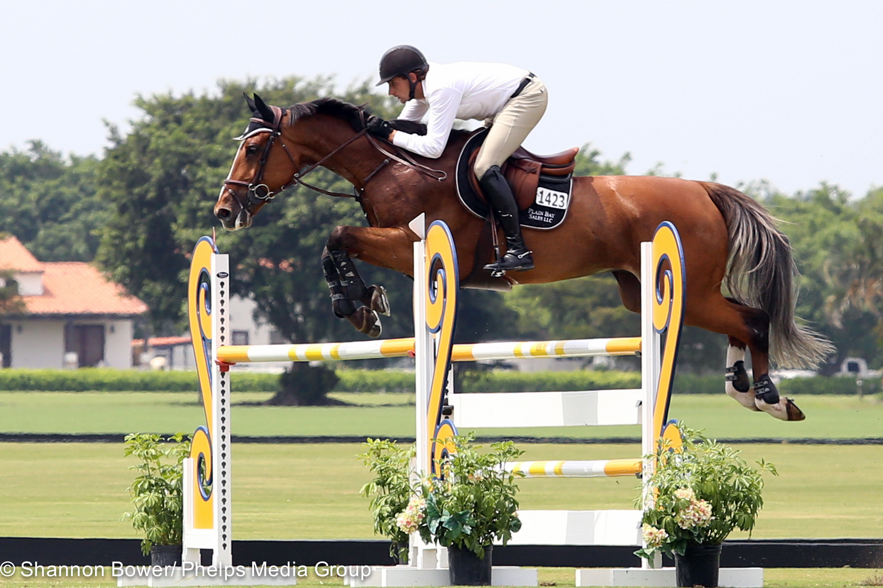 Adam Prudent and Vasco