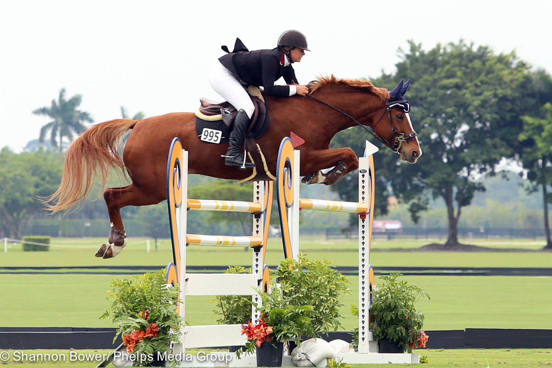 Lisa Goldman and Morocco