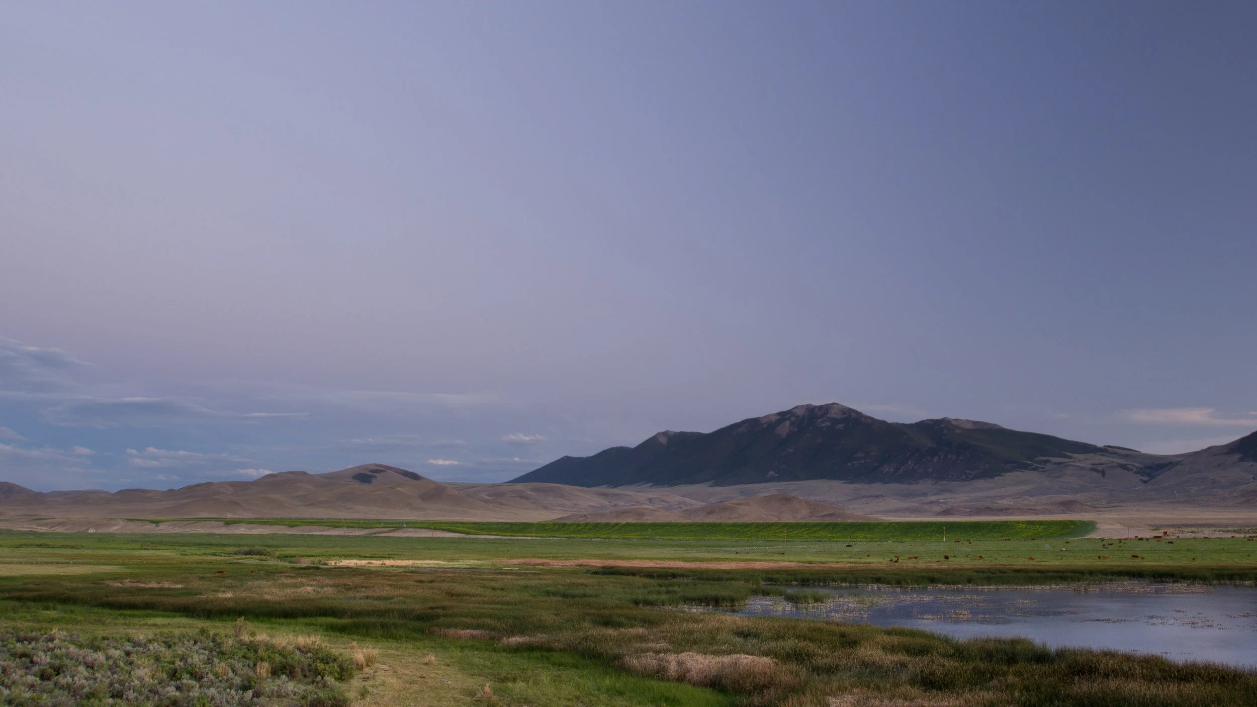 Photographing in the "Right Light"