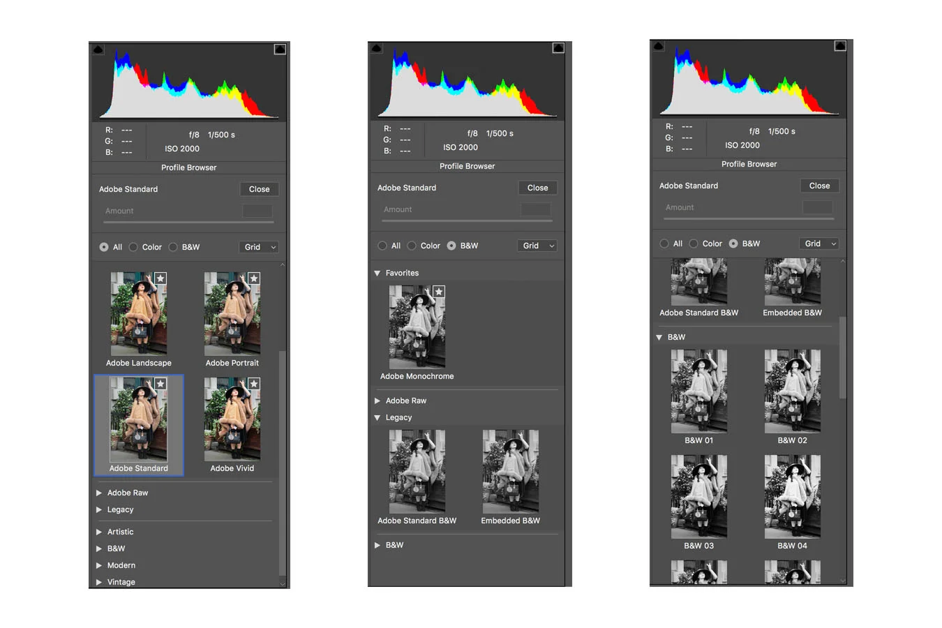 Adobe Camera Profiles Explained – ZIGM