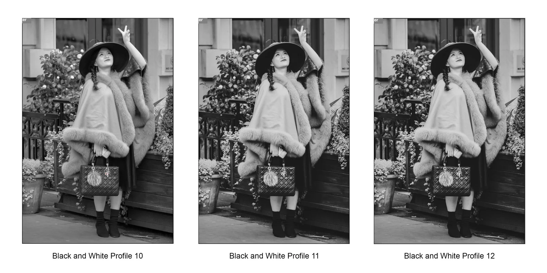 Adobe Camera Raw Monochrome Profiles 10-12
