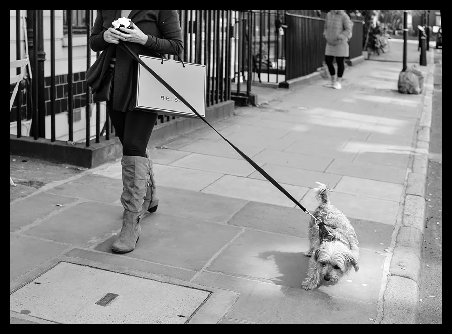 Reluctant Walkies - Leica SL