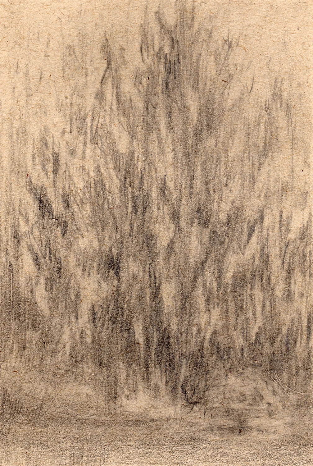 Between Branches