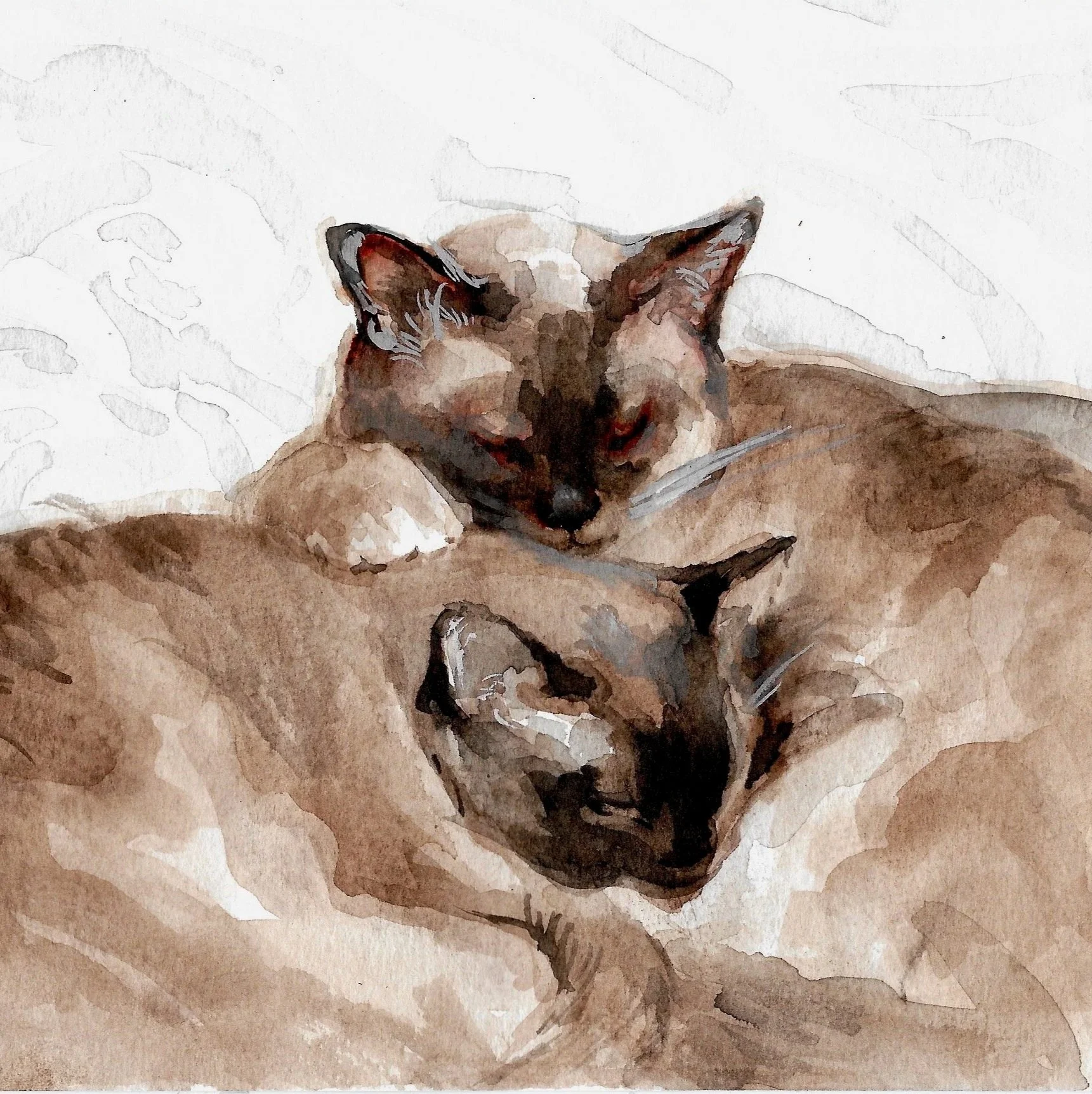 Sleep , 8 x 8", Watercolor
