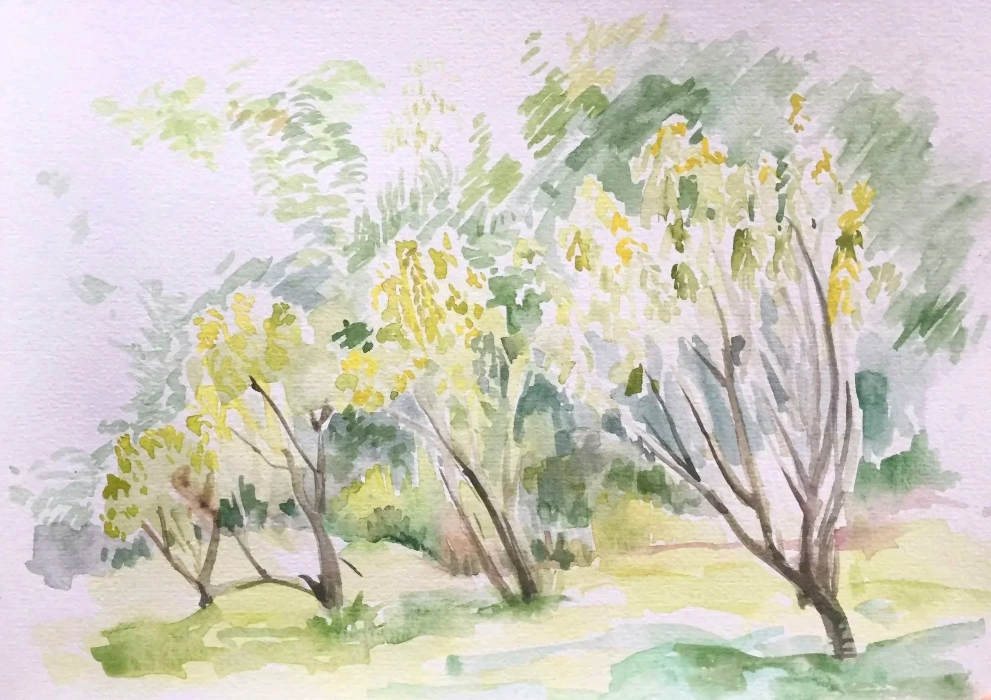 Three Trees at White's Creek , 6 x 8", watercolor
