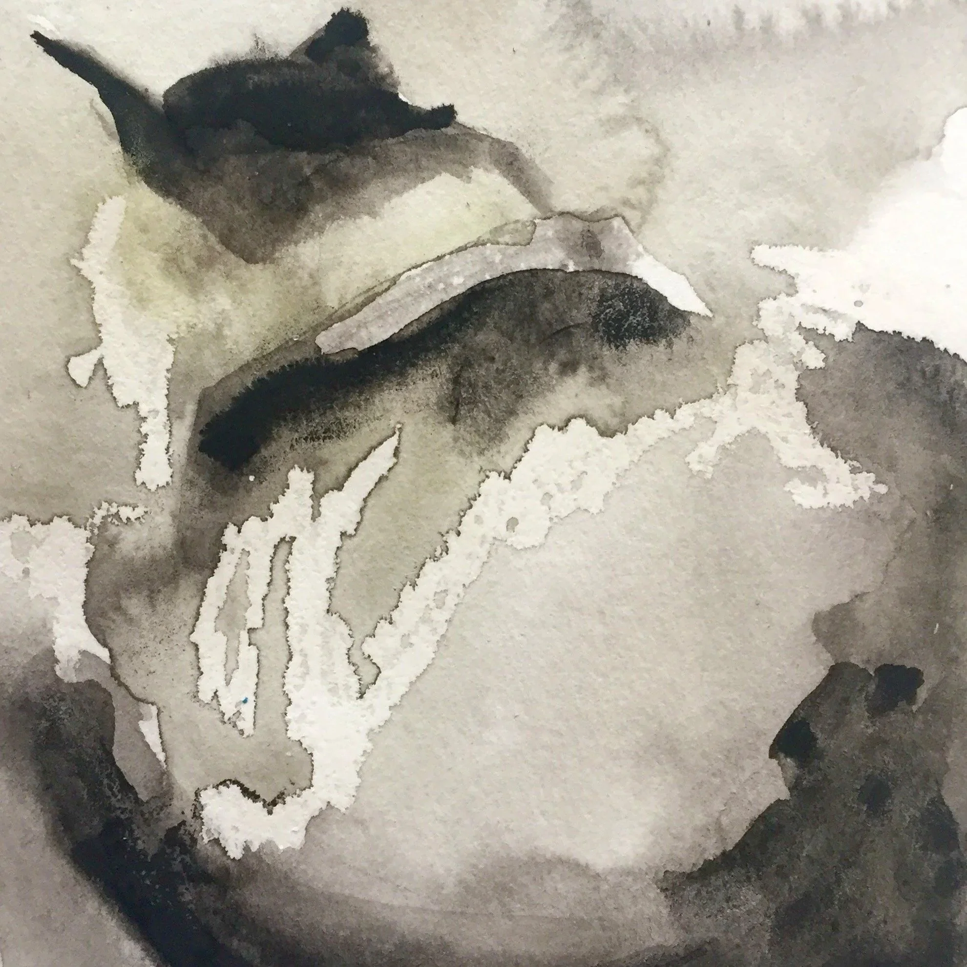 Huey's Back , 4 x 4" , Watercolor