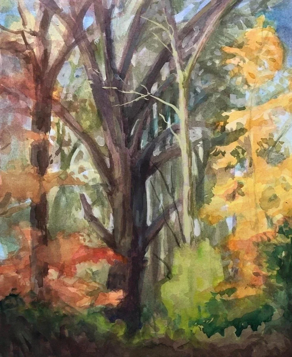 Fall Color , 12 x 9", watercolor