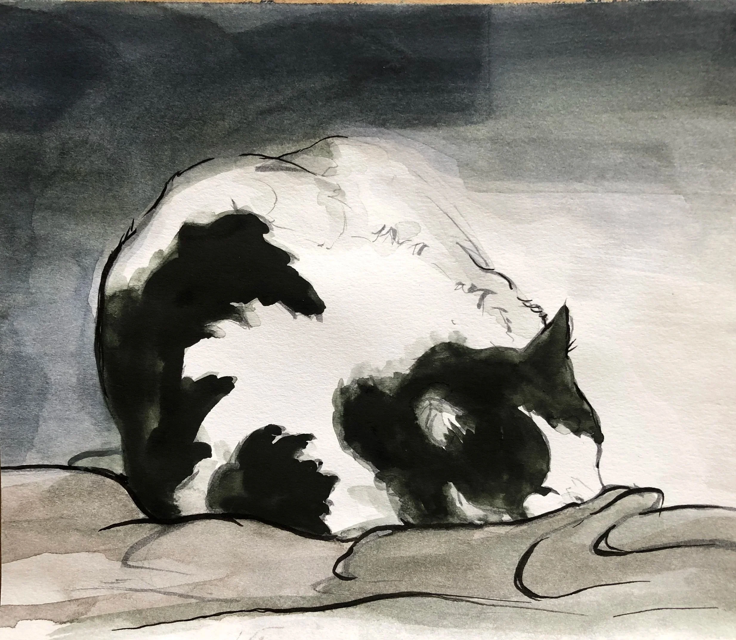 Huey Tucked In , 5 x 5", ink and watercolor