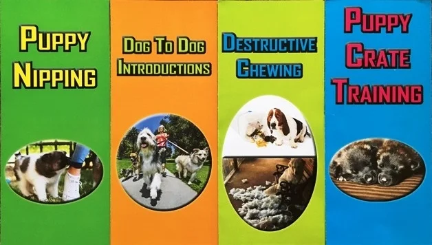 Did you enjoy your FREE guide on STOP JUMPING UP? I sure hope so, it was a lot of work for me to create! I have 4 more free guides as displayed above that offer more wonderful, helpful secrets and tips to help you with your Puppy. All you need to do to get the free guides above is provide an email address within the link below and you will be granted FREE access to these documents via email! 