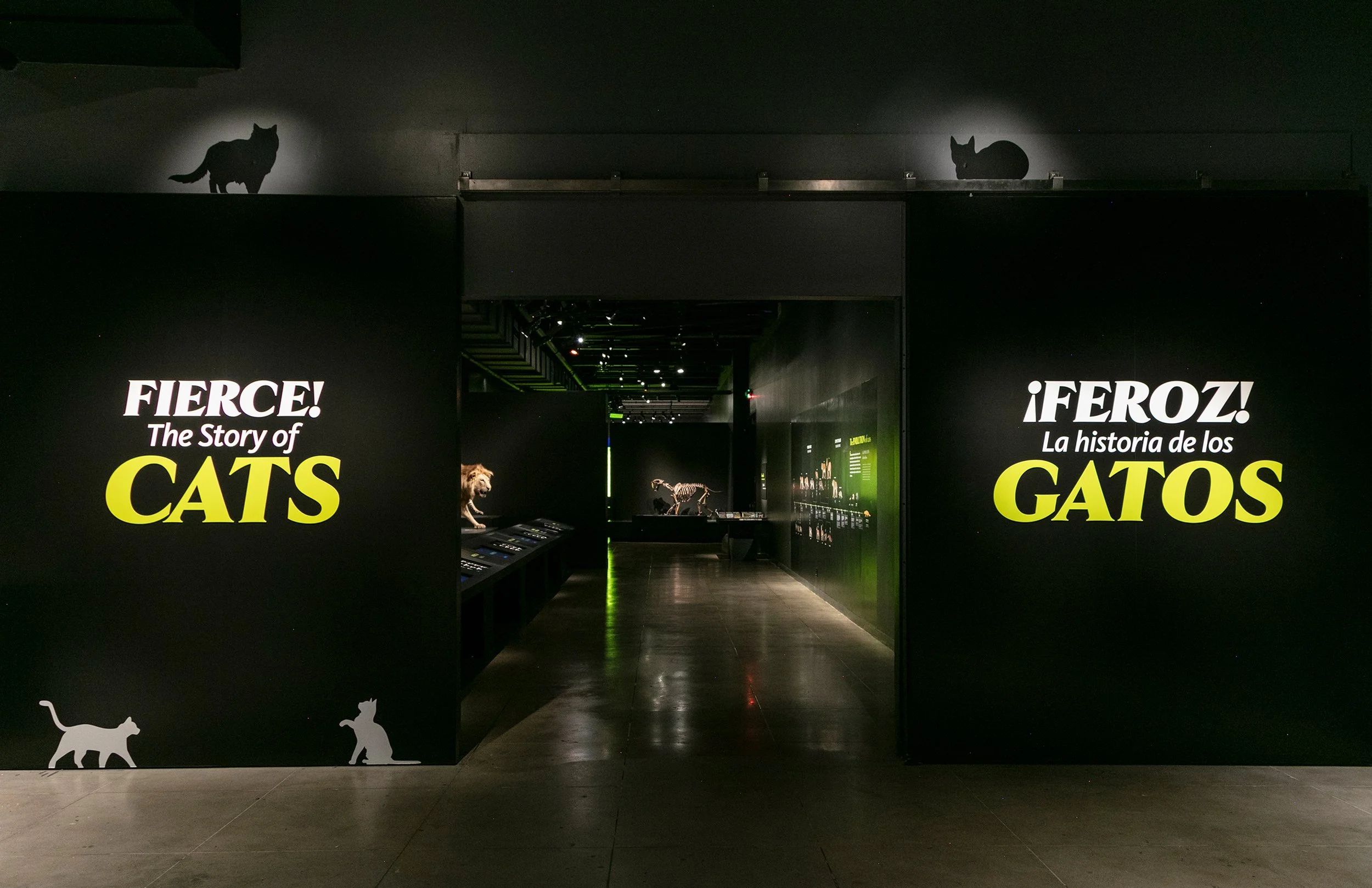 CATS_FOLIO_001.jpg