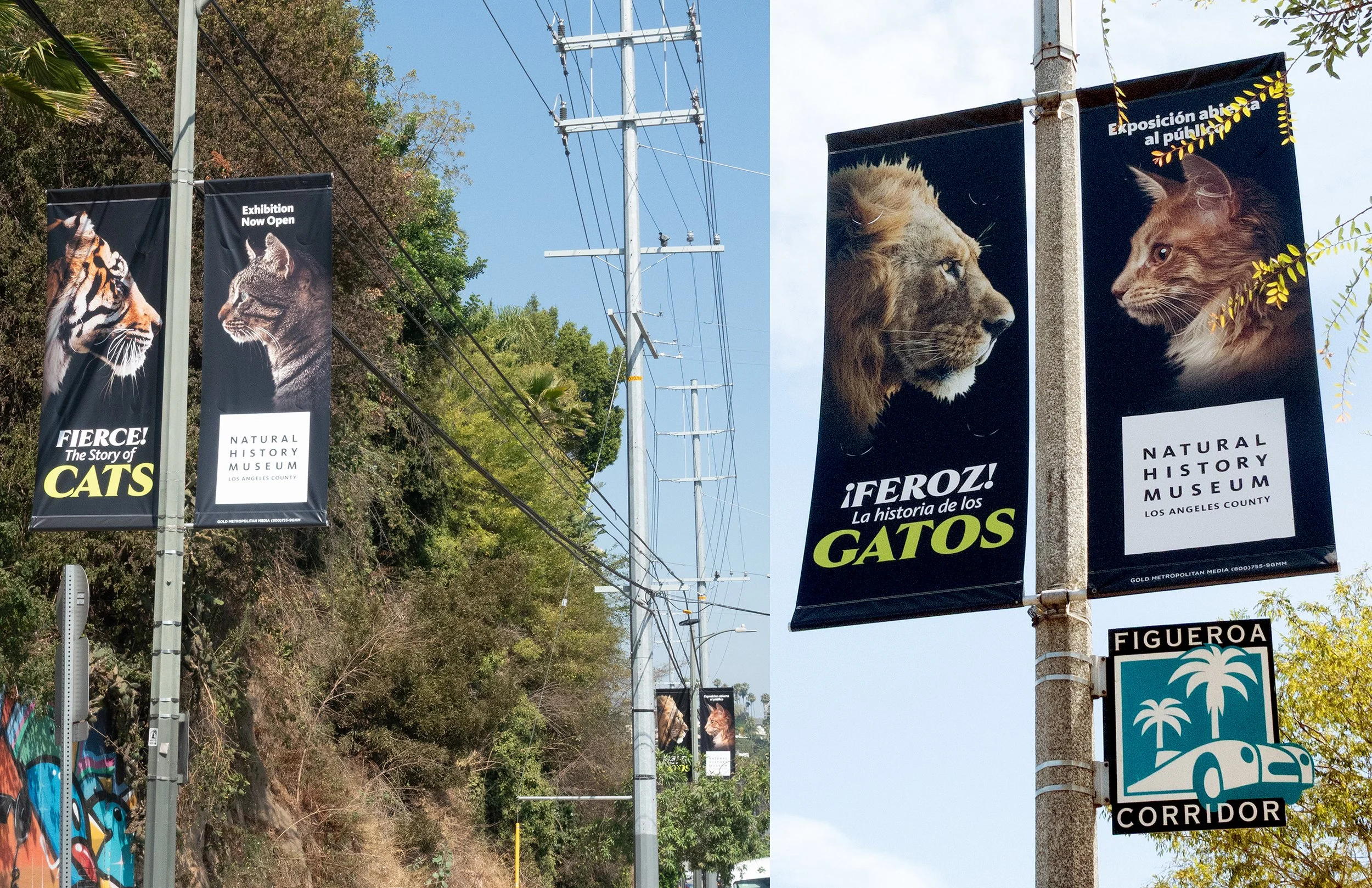 CATS_FOLIO_011.jpg