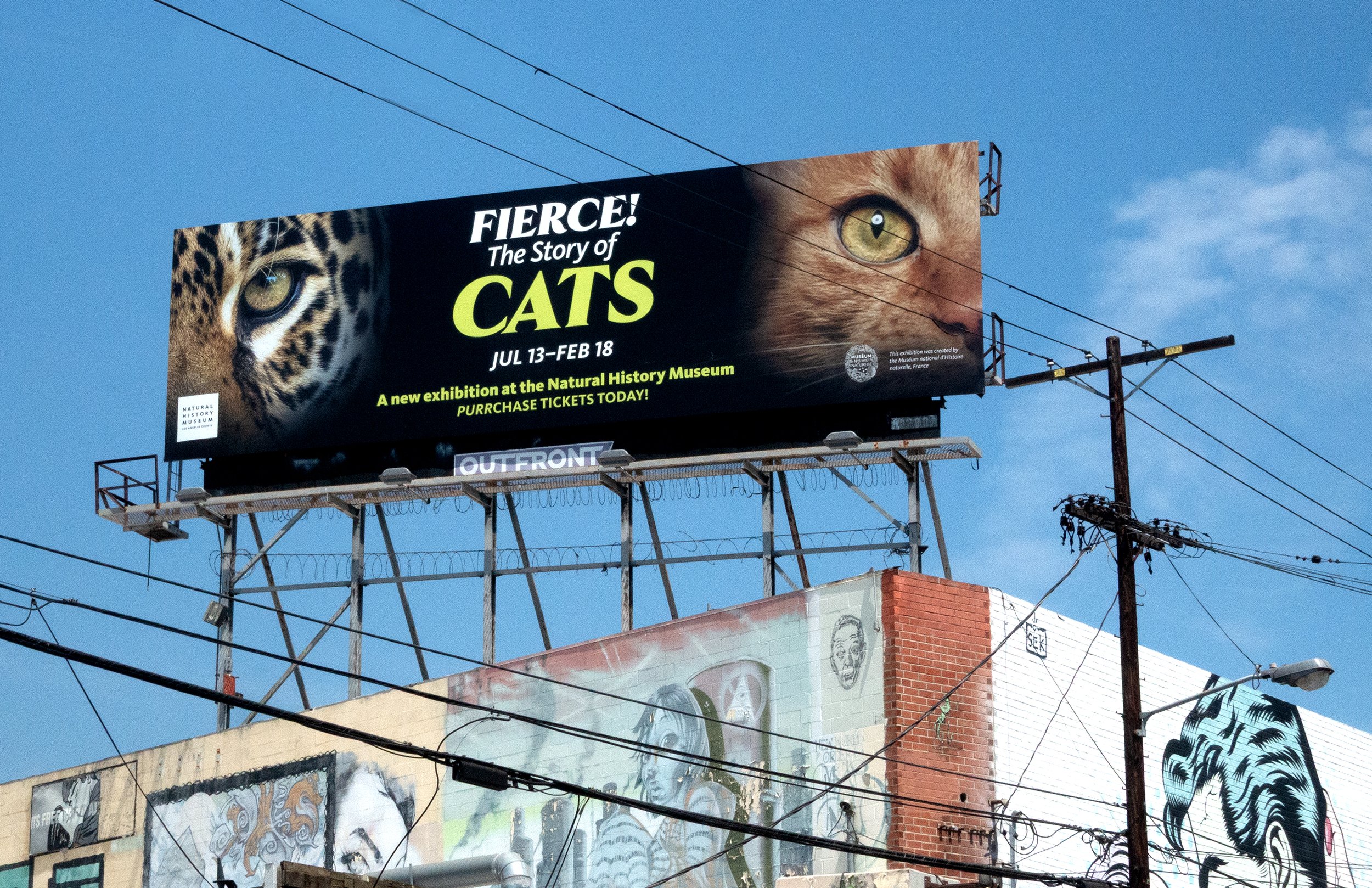 CATS_FOLIO_012.jpg