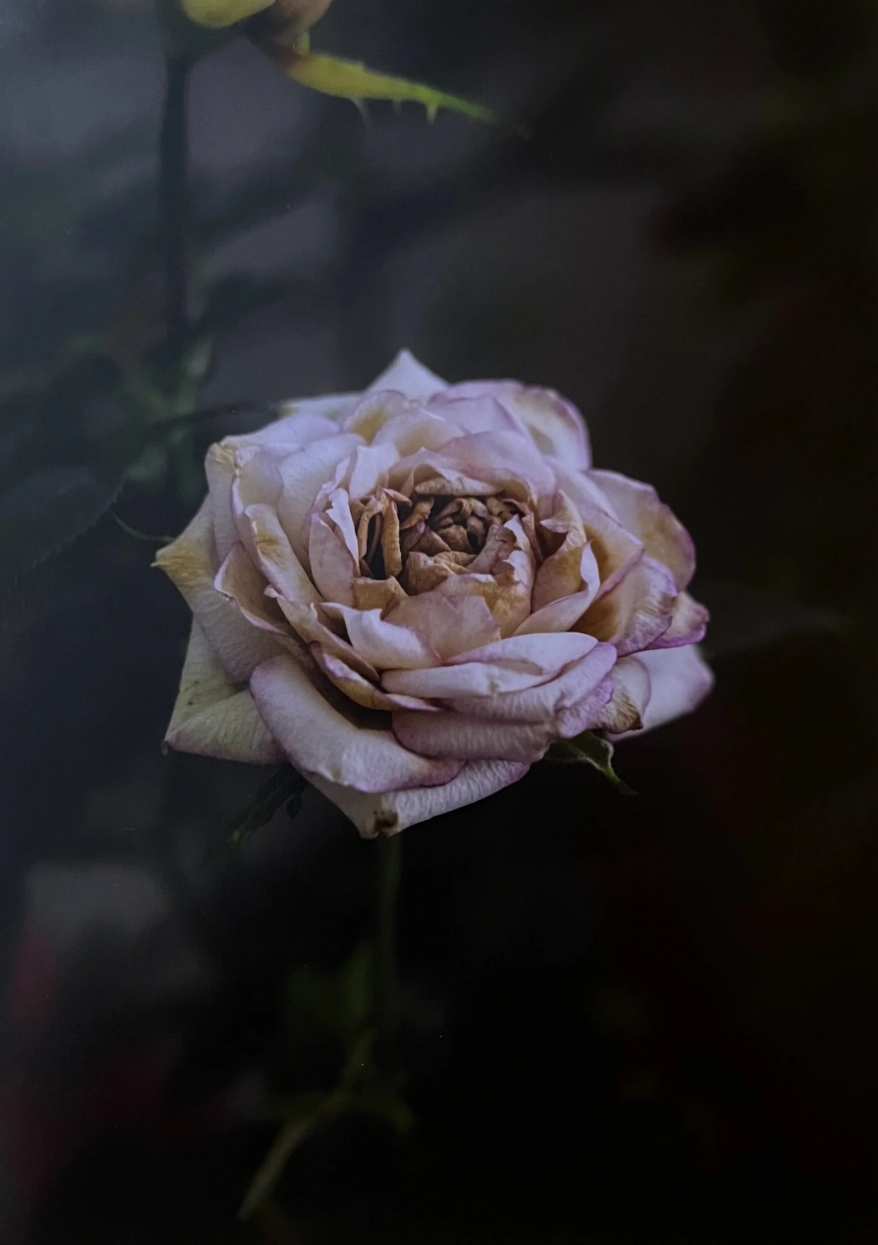 775CEBCA-FB69-4BD0-B815-103CC5627168