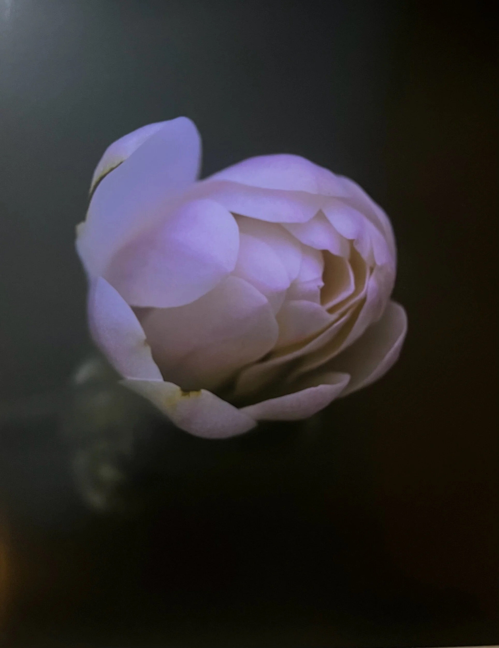 D506D610-AFBA-48B1-BC8B-A2991AD76E1F