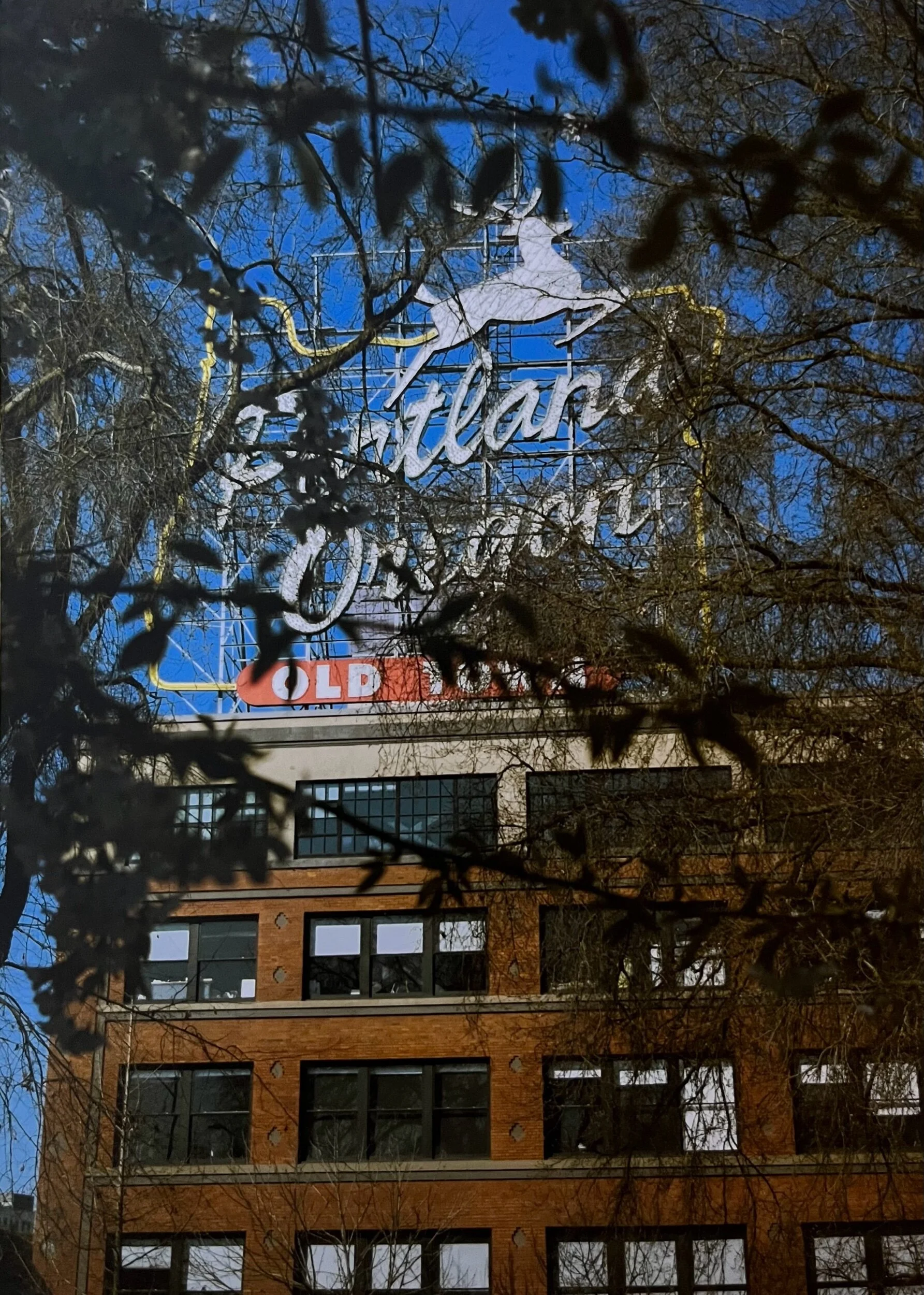 1591163A-AB80-4AB5-A4D4-1B84766FF847