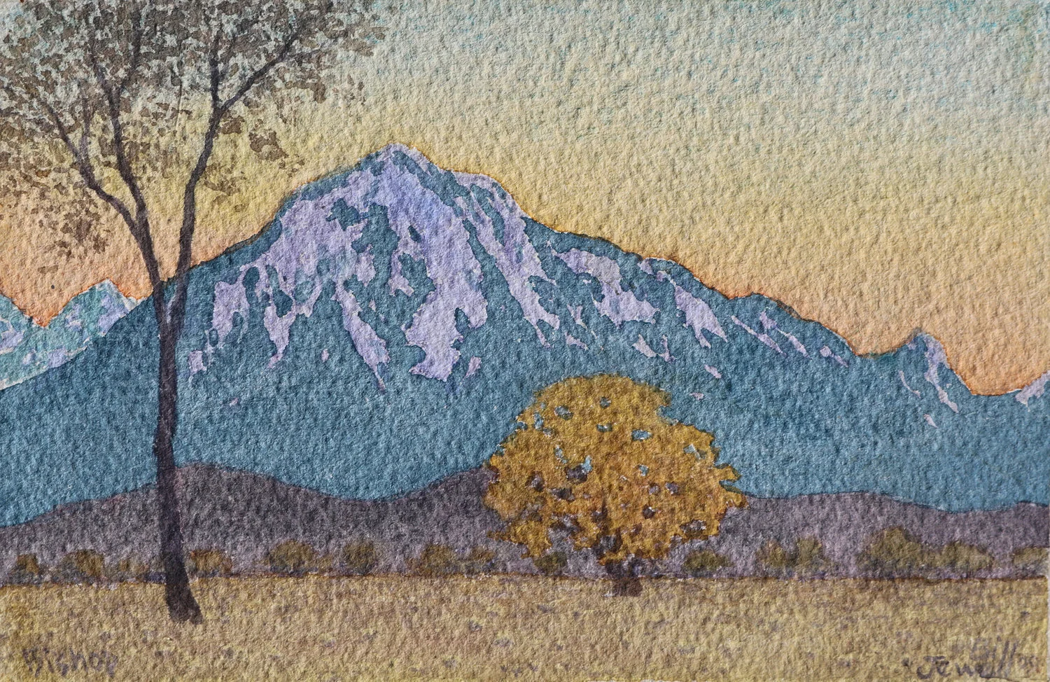 1R9A6632.jpg