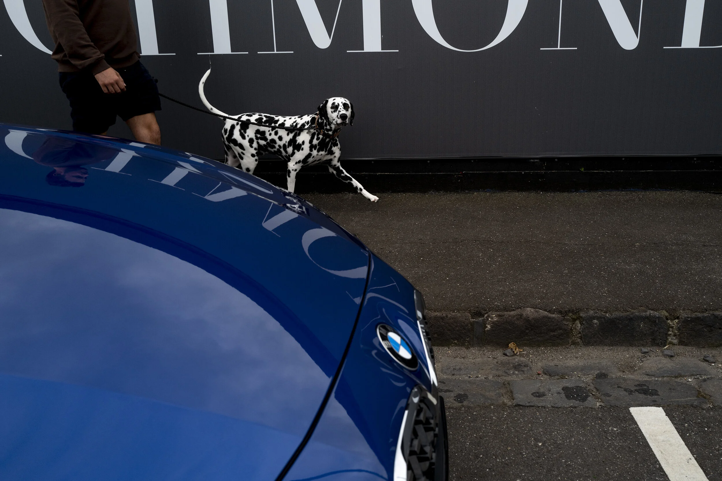 BMW-03.jpg