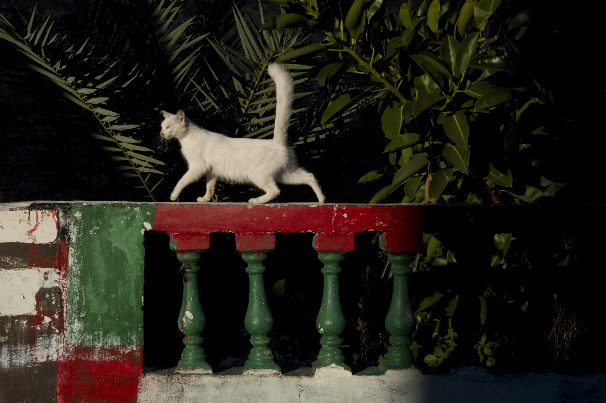 JM-Morocco-5.jpg