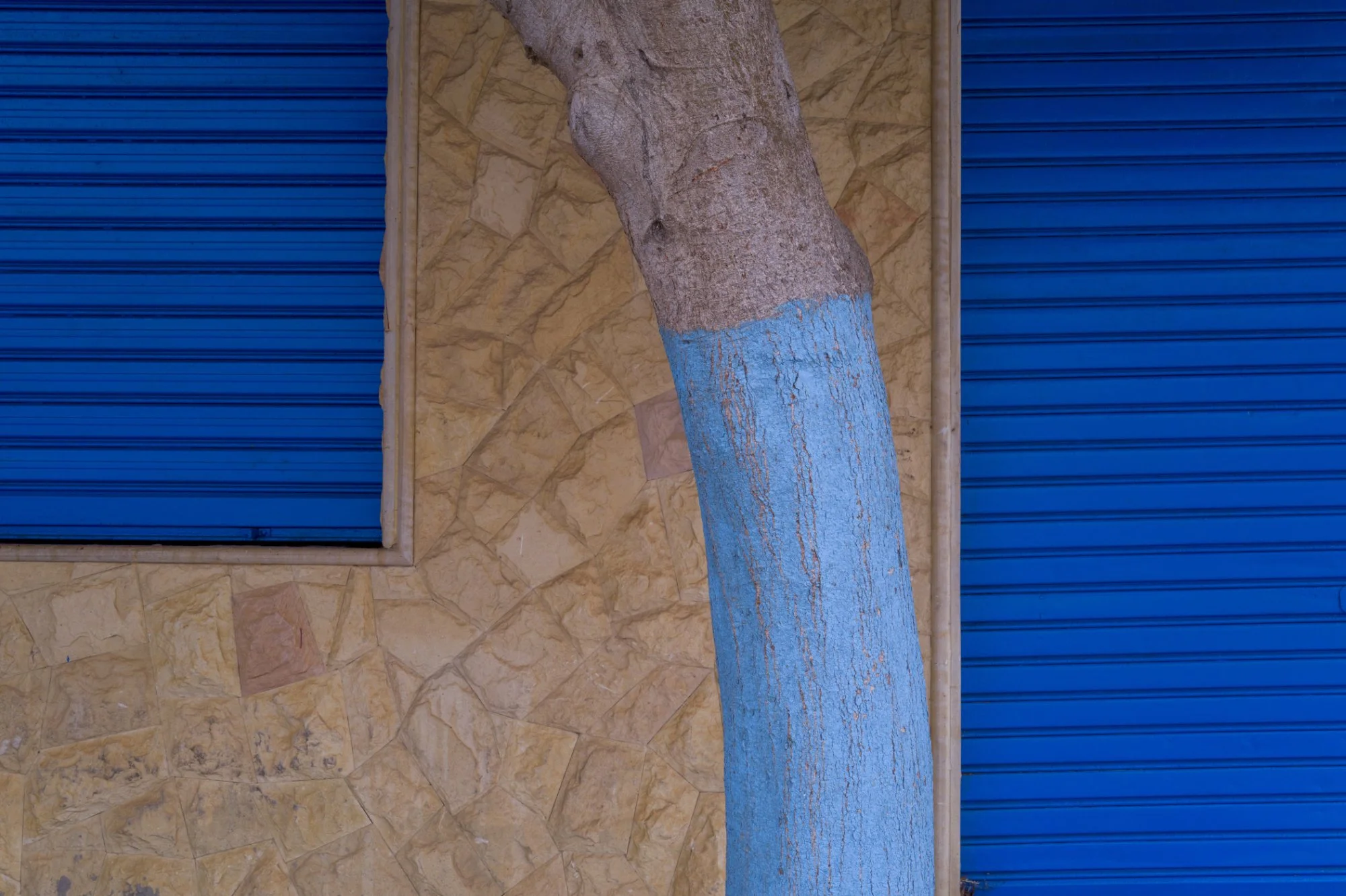 JM-Morocco-12.jpg