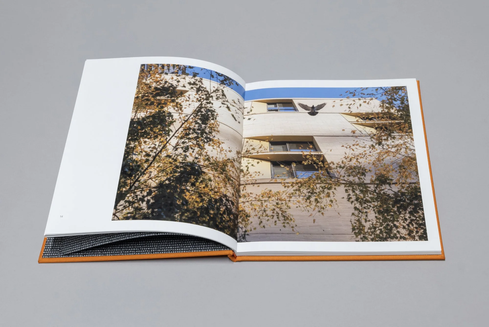 Iglu book-2.jpg