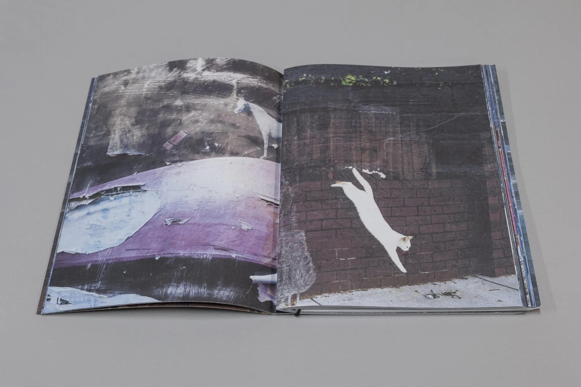 (De)Compositions-8.jpg