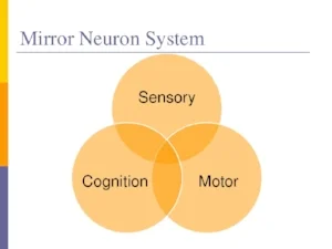 mirror-neurons-13-728.jpg