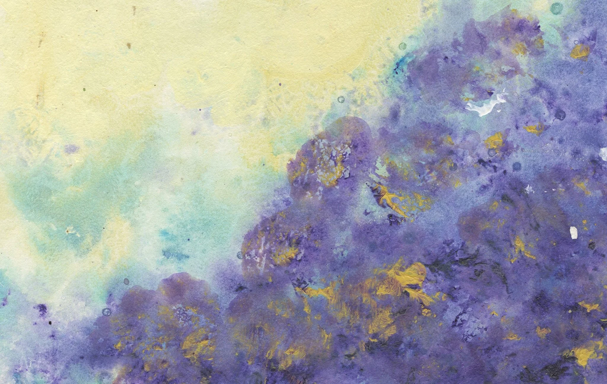 Background+scan+2.19.jpg