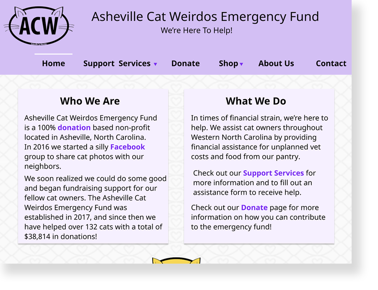 100% Donation Based Assistance with Unplanned Vet Costs for Cats in WNC