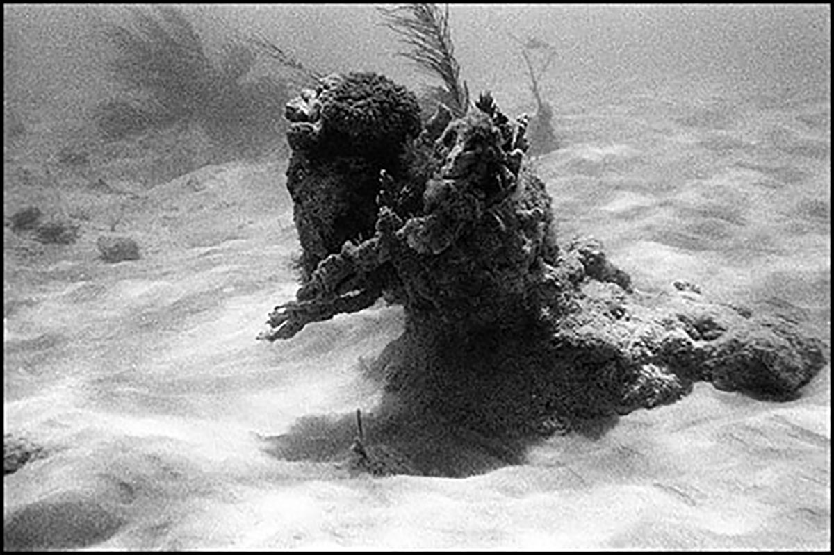 Underwater 5